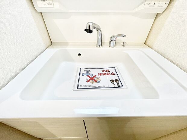 【その他設備(ハンドシャワー水栓)】ハンドシャワー付き！使いやすい洗面台。