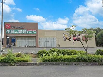 生鮮＆業務スーパー加須ビバモール店 1200m(15分)