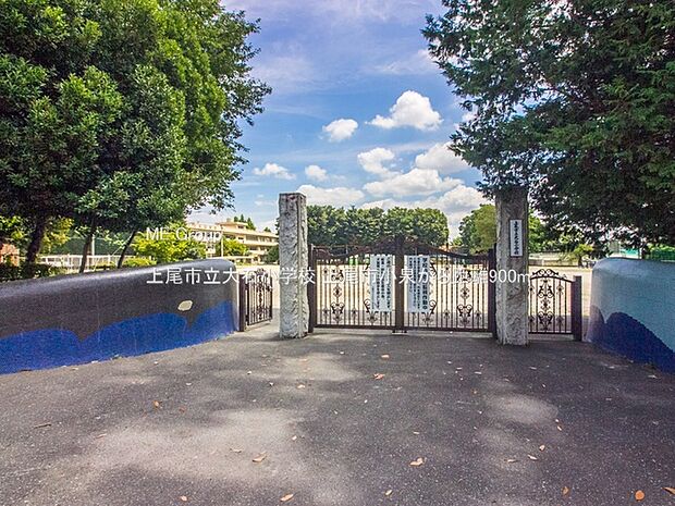 上尾市立大石小学校（約900m）