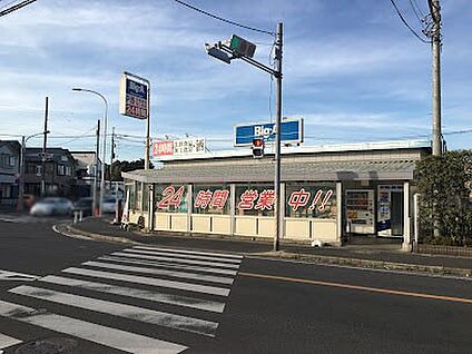 ビッグ・エー 松戸八ケ崎店 1000m
