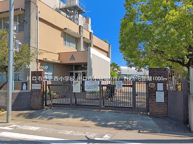 川口市立芝西小学校(約1,000m・徒歩13分)