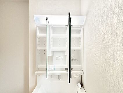 その他設備(三面鏡裏収納)