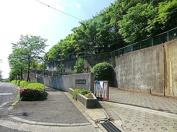 南菅中学校(約220m・徒歩3分)