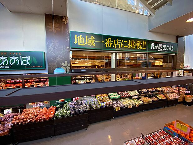 食品館あおば新羽店(約300m)