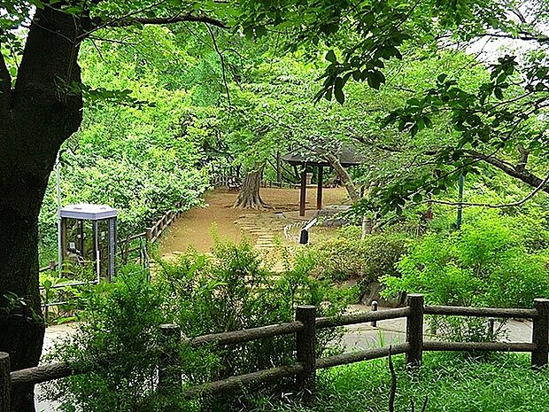 大倉山公園(約140m・徒歩2分)