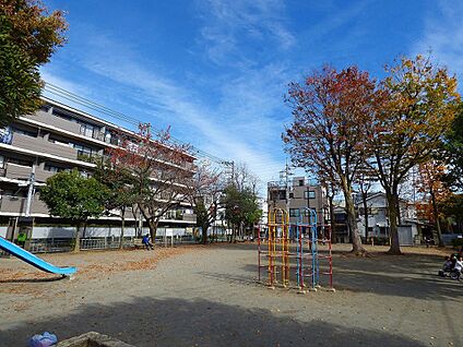 新作第三公園 290m(4分)