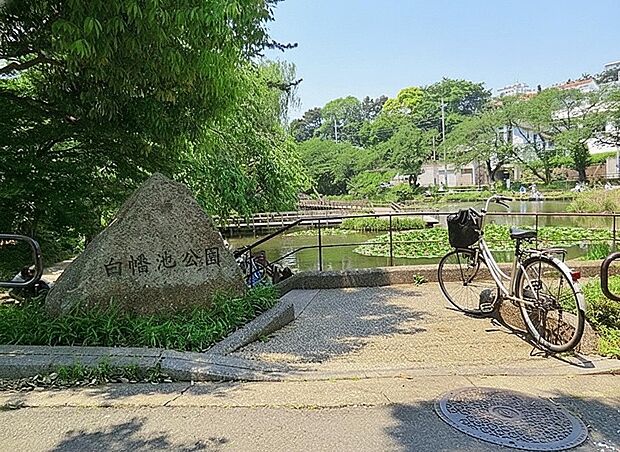 白幡池公園（約120m）