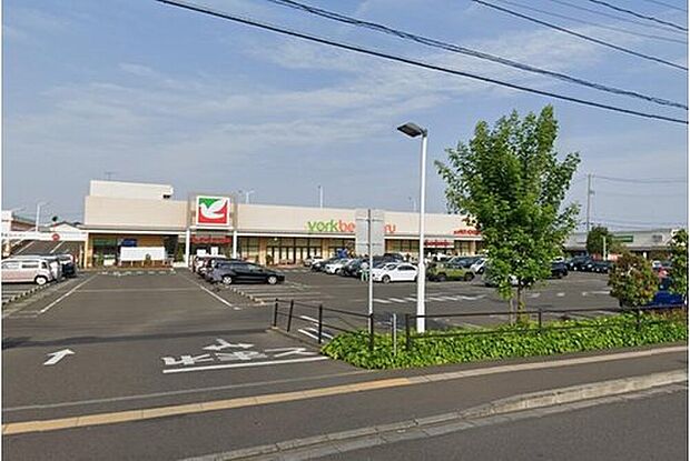 ヨークベニマルフォレオ東仙台店(約720m)