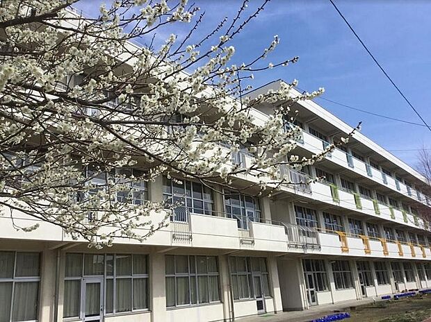 古城小学校(約1,000m)