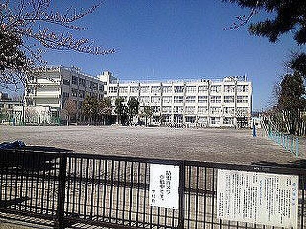 江戸川区立篠崎第四小学校(約390m)