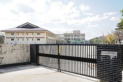 市川市立第一中学校 2900m