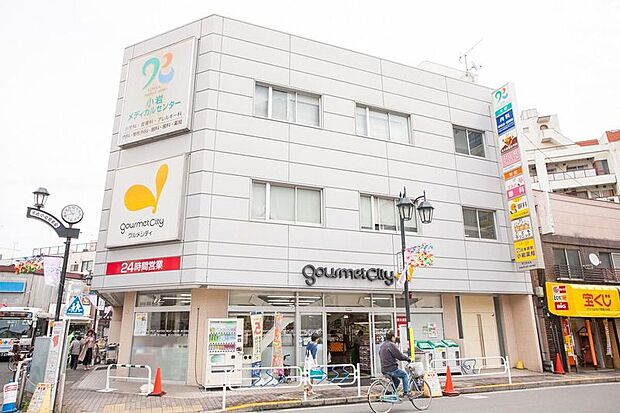 グルメシティ京成小岩店(約730m)
