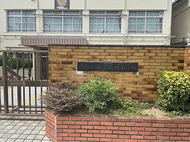 城内小学校（約38m）
