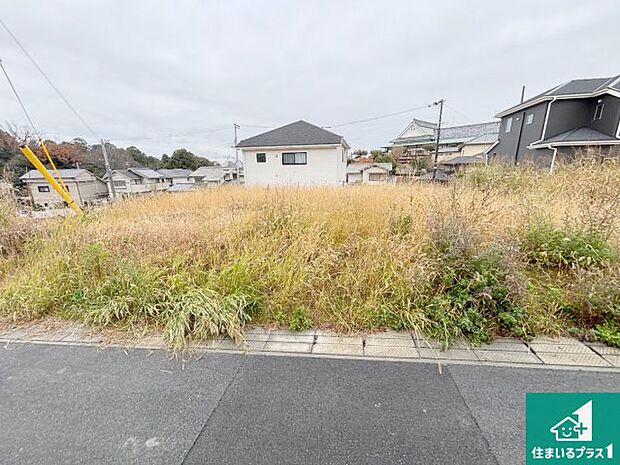 現在はこんな感じです。完成までが待ち遠しいですね。