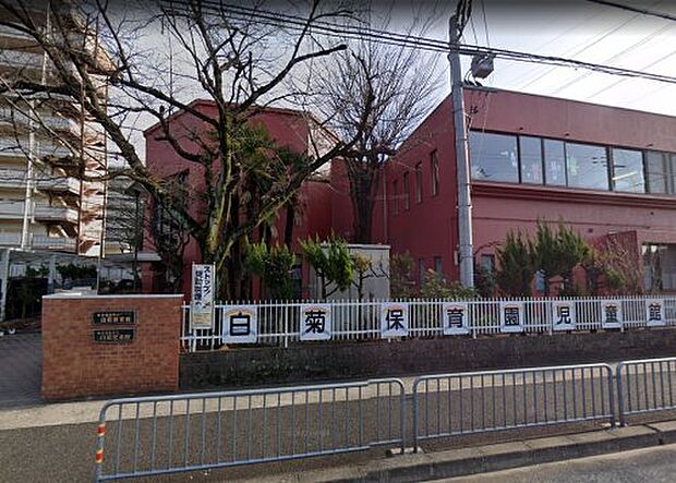 白菊こども園