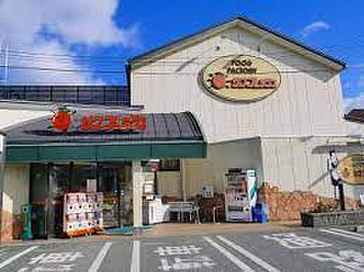 スーパーサンフレッシュ 加茂店