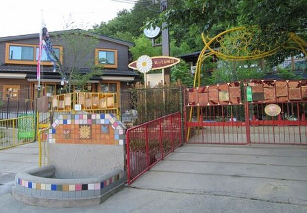 菊の花幼稚園