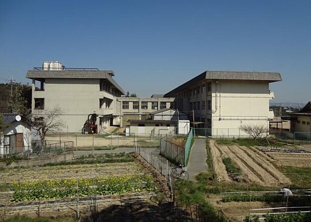 斑鳩町立斑鳩中学校