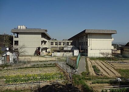 斑鳩町立斑鳩中学校 徒歩990m