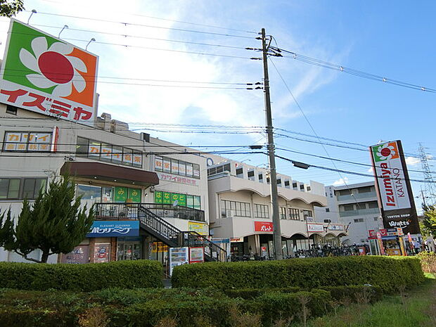 イズミヤ交野店