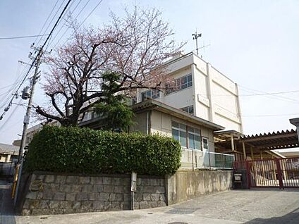 藤井寺市立道明寺小学校 徒歩1600m