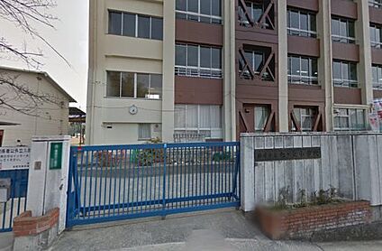 柏原市立旭ケ丘小学校 徒歩637m