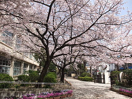 尼崎市立園田中学校 徒歩1250m