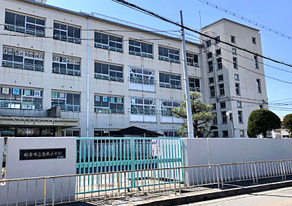 松原市立恵我小学校 徒歩1533m