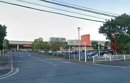 ザ・ビッグ エクストラ 天理店 徒歩809m