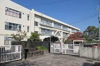 羽曳野市立古市南小学校 徒歩890m