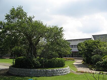 大東市立北条小学校 徒歩295m