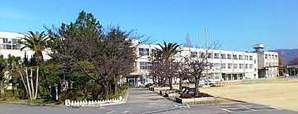 八尾市立八尾中学校 徒歩952m