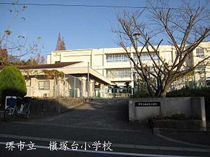 堺市立槇塚台小学校 徒歩210m