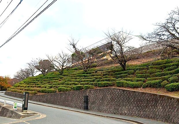 大野城市立平野中学校（約750m）