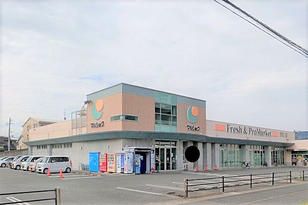 マルショク那珂川店（約581m）