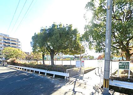 岩戸公園 800ｍ(徒歩10分)