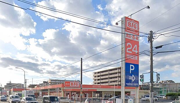 ザ・ビッグ南福岡店(約800m)