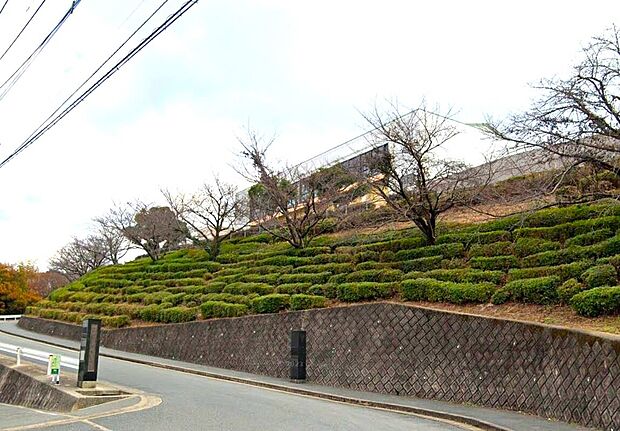 大野城市立平野中学校（約950m・徒歩12分）
