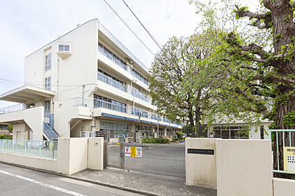 武蔵野市立第四小学校 現地から280m～300m。(徒歩4分。(最長))