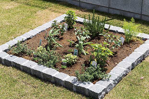 【育て収穫するポタジェ】
花や野菜、ハーブを育てられる家庭菜園スペース。収穫した野菜を料理に使えば家産家消に。また、お子様の食育にもつながります。