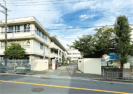 池田市立秦野小学校 790m(徒歩10分)