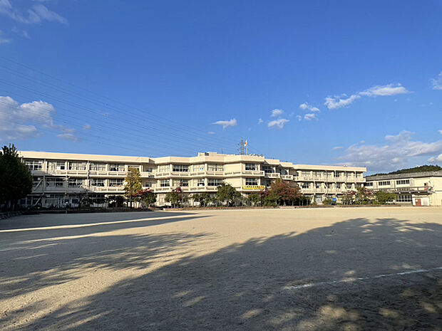 石山小学校（約560m）