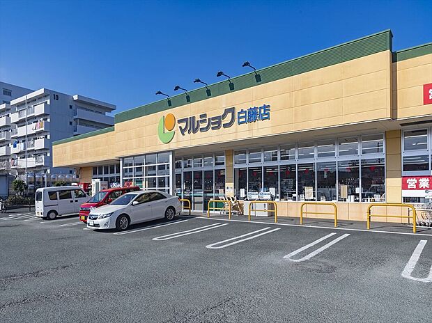 マルショク白藤（約580m）