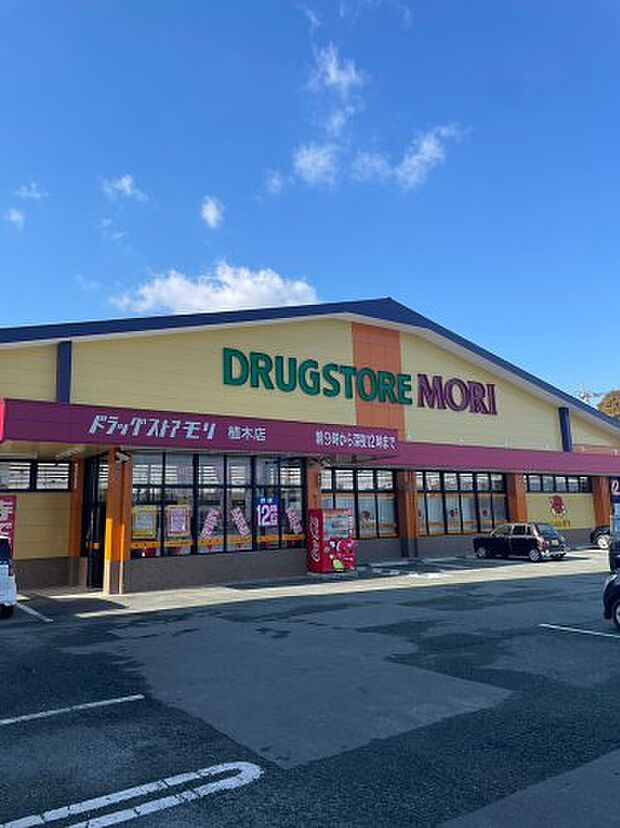 ドラッグストアモリ 植木店