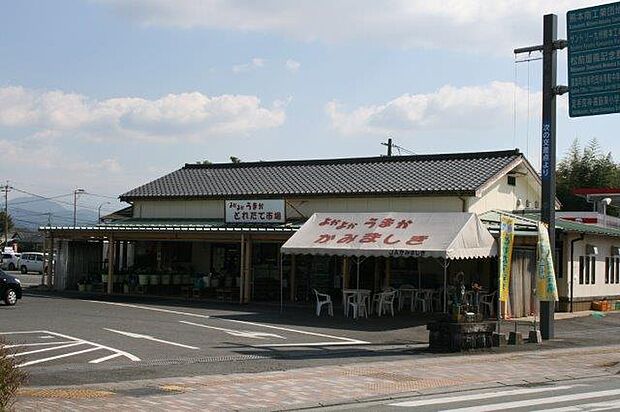 上益城農業協同組合とれたて市場 嘉島店