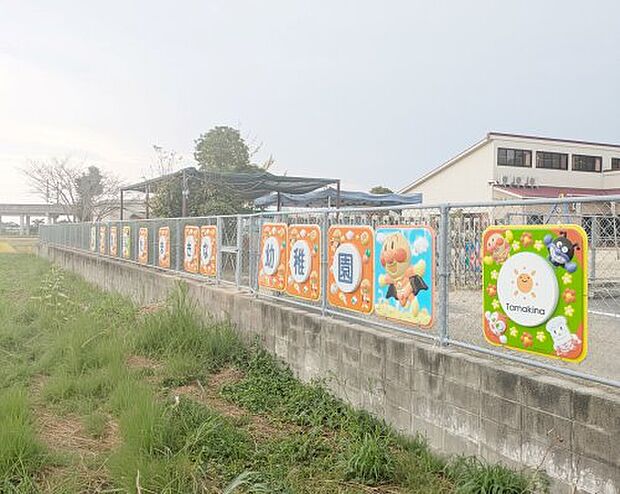 認定こども園たまきな幼稚園