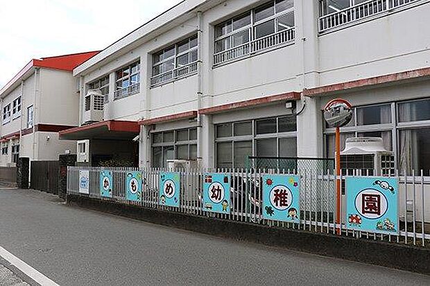 東海大付属かもめ幼稚園