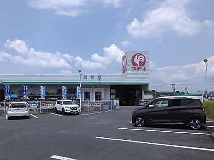 コメリハード&amp;グリーン泗水店 徒歩2409m