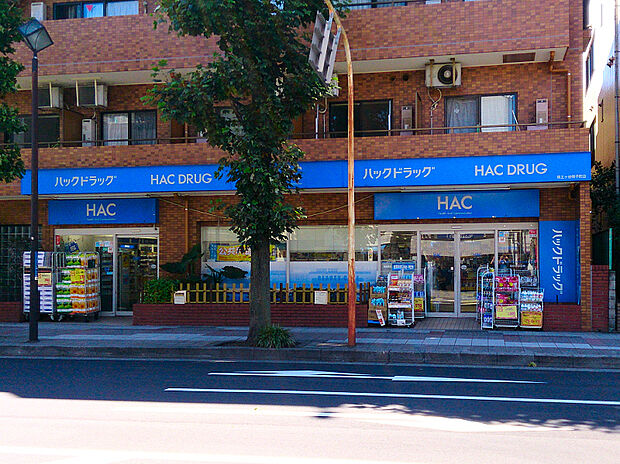 ハックドラッグ保土ヶ谷帷子町店(約600m)