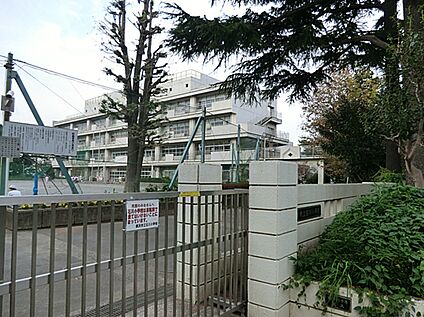 横浜市立石川小学校 500ｍ